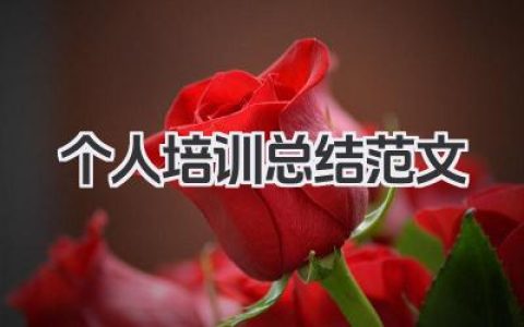个人培训总结范文 培训总结范文​