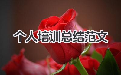 个人培训总结范文 培训总结范文​