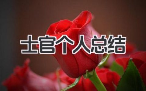 士官个人总结 士官工作总结​