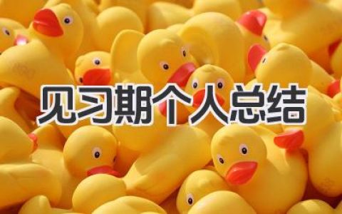 见习期个人总结 见习期工作总结​