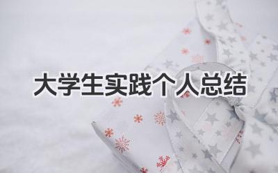 大学生实践个人总结 大学生实践总结