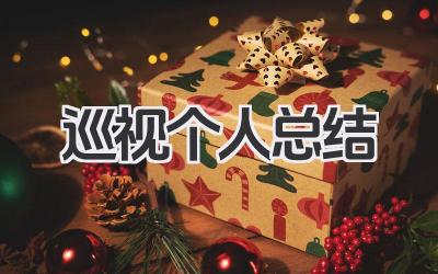 巡视个人总结 巡视工作总结
