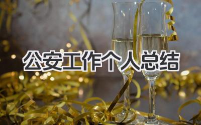 公安工作个人总结 公安工作总结​