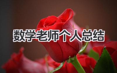 数学老师个人总结 数学教师总结