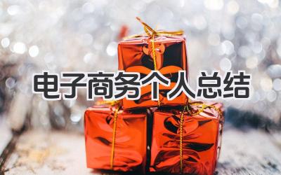 电子商务个人总结 电子商务总结