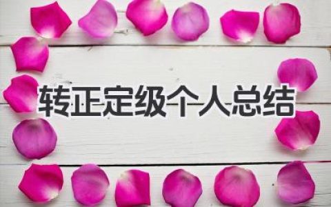 转正定级个人总结 转正定级总结​