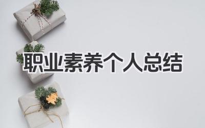 职业素养个人总结 职业素养总结