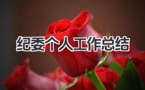 纪委个人工作总结 纪委工作总结​