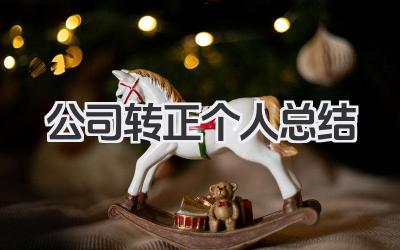公司转正个人总结 公司转正总结
