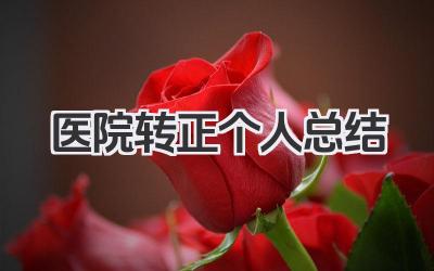 医院转正个人总结 医院转正个人工作小结​