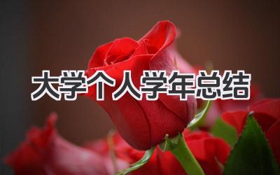大学个人学年总结 大学个人年度学习总结