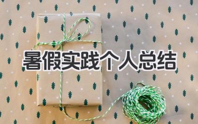 暑假实践个人总结 暑假实践个人小结