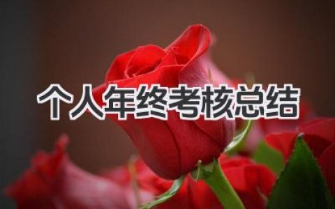 个人年终考核总结 个人年终考核小结​