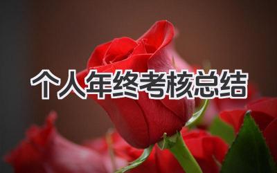 个人年终考核总结 个人年终考核小结​