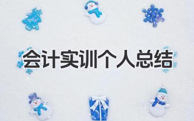 会计实训个人总结 会计实训个人小结
