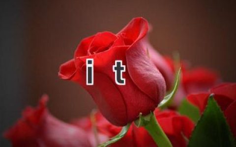 it 个人工作总结 it 个人工作小结​