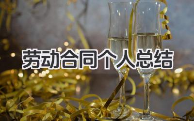 劳动合同个人总结 劳动合同个人小结