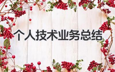 个人技术业务总结 个人技术业务小结
