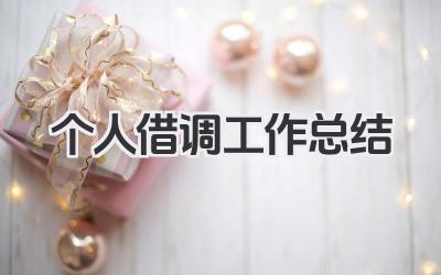 个人借调工作总结 个人借调工作小结