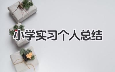 小学实习个人总结 小学实习个人小结​