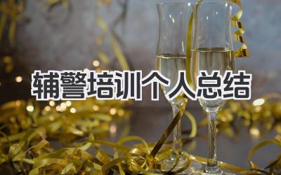 辅警培训个人总结 辅警培训个人小结​