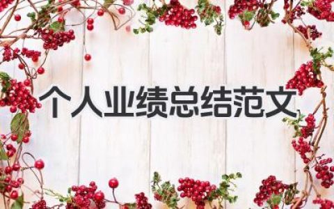 个人业绩总结范文 个人业绩总结范例​