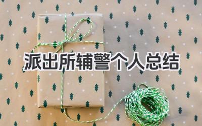 派出所辅警个人总结 派出所辅警个人工作总结