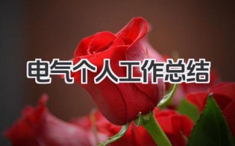 电气个人工作总结 电气个人工作小结​