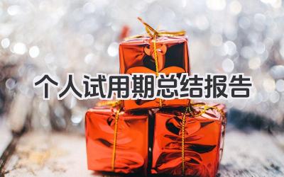 个人试用期总结报告 个人试用期总结​