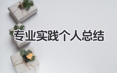 专业实践个人总结 专业实践个人小结​