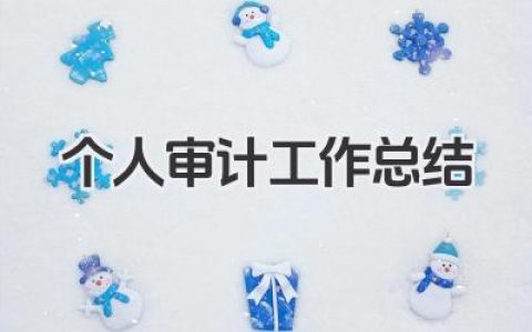 个人审计工作总结 个人审计工作回顾​
