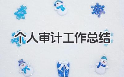 个人审计工作总结 个人审计工作回顾​