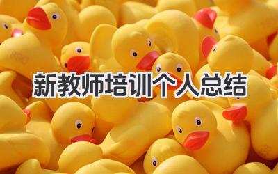 新教师培训个人总结 新教师培训个人心得回顾