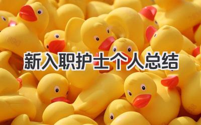 新入职护士个人总结 新入职护士个人工作小结​