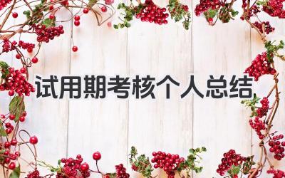 试用期考核个人总结 试用期考核个人工作小结​