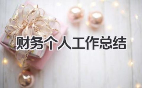 财务个人工作总结 财务个人工作回顾​