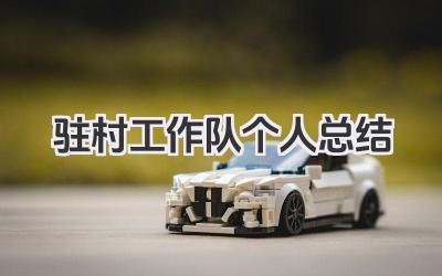 驻村工作队个人总结 驻村工作队个人工作小结