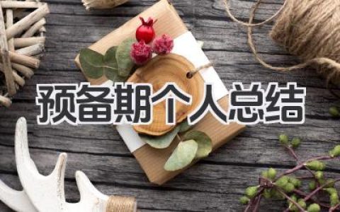 预备期个人总结 预备期个人工作回顾​