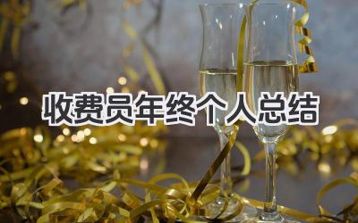 收费员年终个人总结 收费员年终工作回顾​