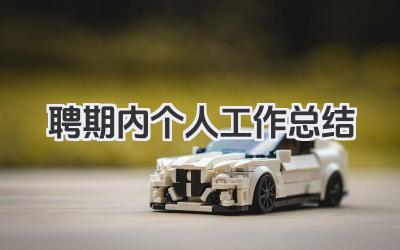 聘期内个人工作总结 聘期内个人工作回顾