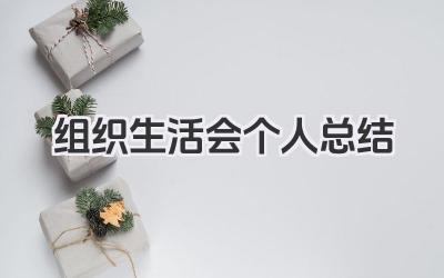 组织生活会个人总结 组织生活会个人工作回顾