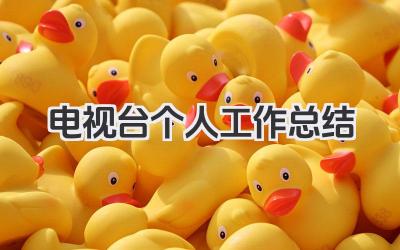 电视台个人工作总结 电视台个人工作回顾