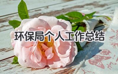环保局个人工作总结 环保局个人工作小结