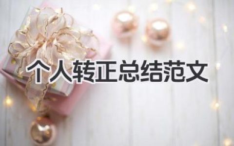 个人转正总结范文 个人转正工作小结范文​