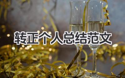 转正个人总结范文 转正工作小结范文