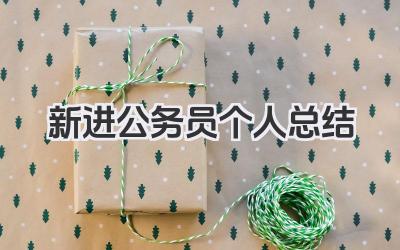 新进公务员个人总结 新进公务员工作回顾​