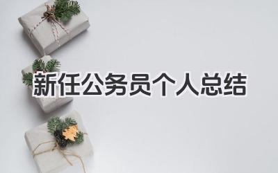 新任公务员个人总结 新任公务员个人总结范文