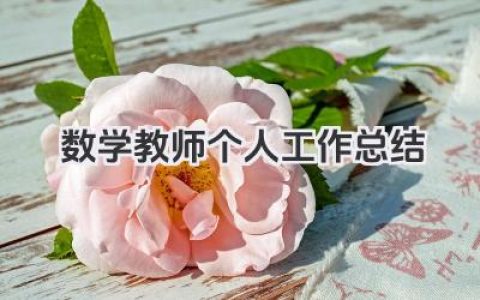 数学教师个人工作总结 数学老师个人工作总结​