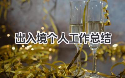 出入境个人工作总结 出入境工作总结​
