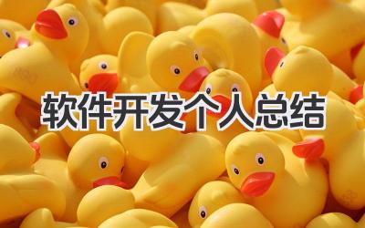 软件开发个人总结 软件开发工作总结